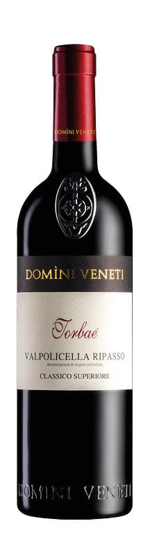 Valpolicella Ripasso Classico Superiore DOC Vigneti di Torbe 2019
