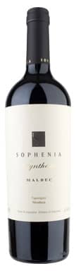 Valle de Tupungato IG Synthesis Malbec 2018