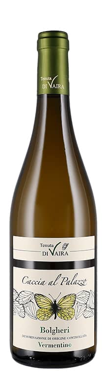 Bolgheri DOC Caccia al Palazzo Vermentino 2020