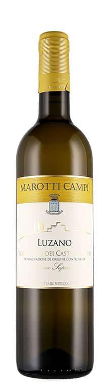 Verdicchio dei Castelli di Jesi Classico Superiore DOC Luzano 2019
