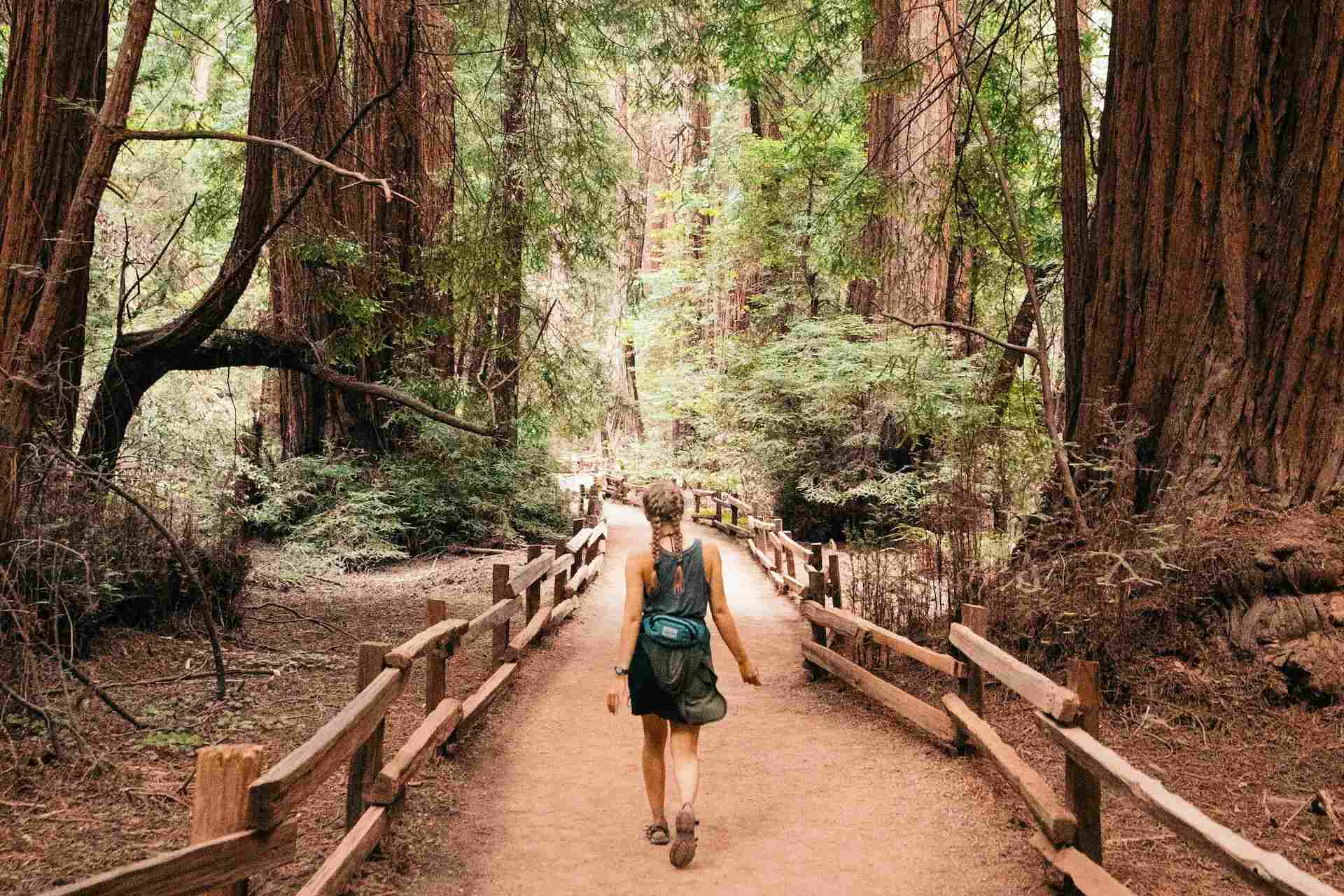 Nasjonalparkbestillingsprogramvare