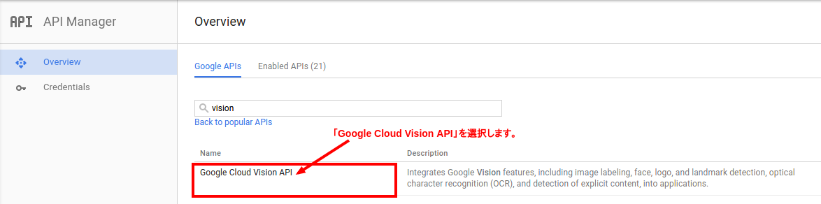 2.4 vision api select-v2