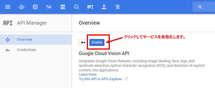2.5 vision-api-enable