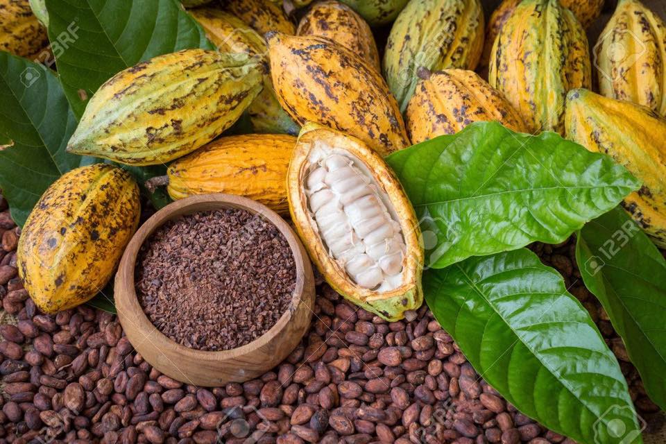 Très belle marque de produits bio à base de cacao