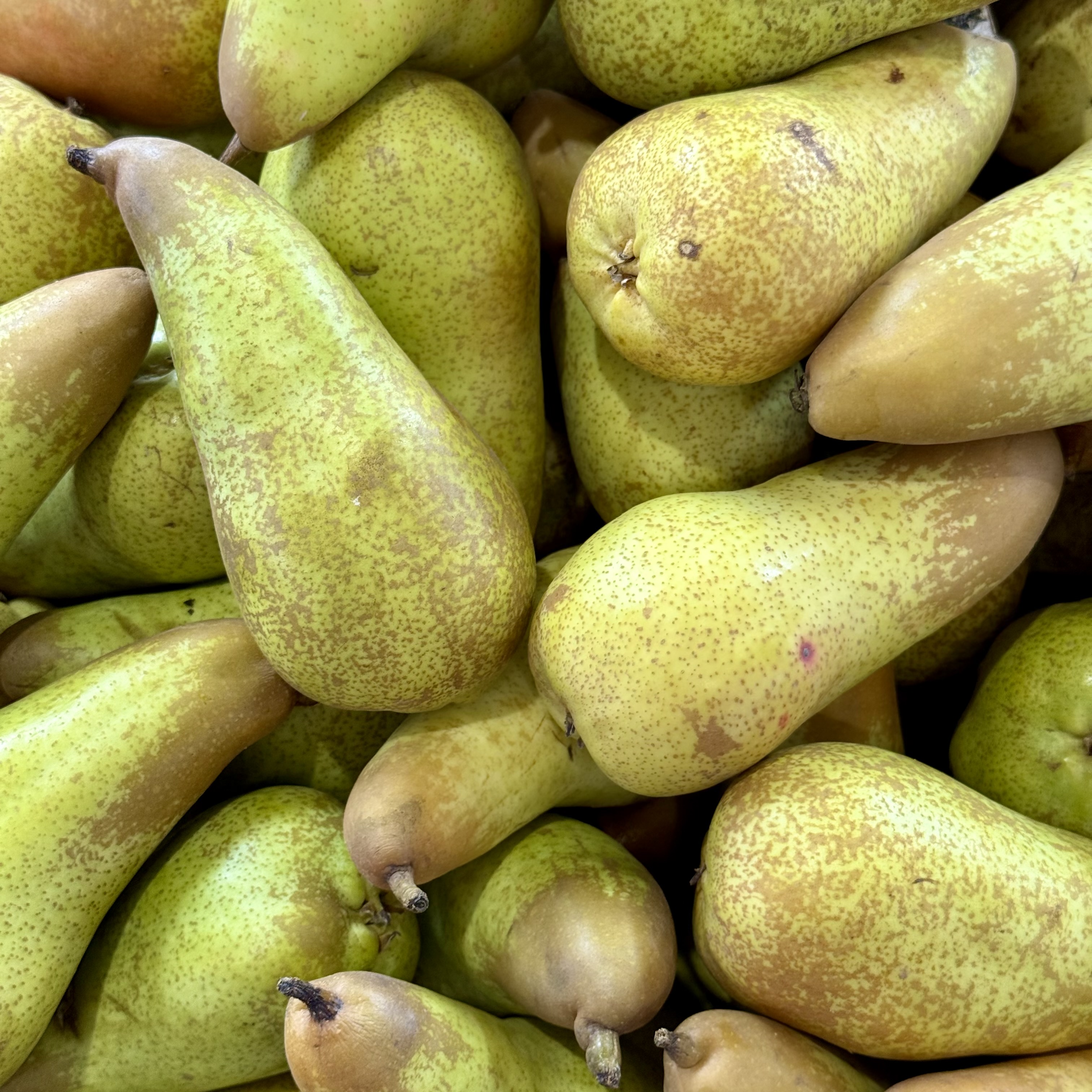 Pêra