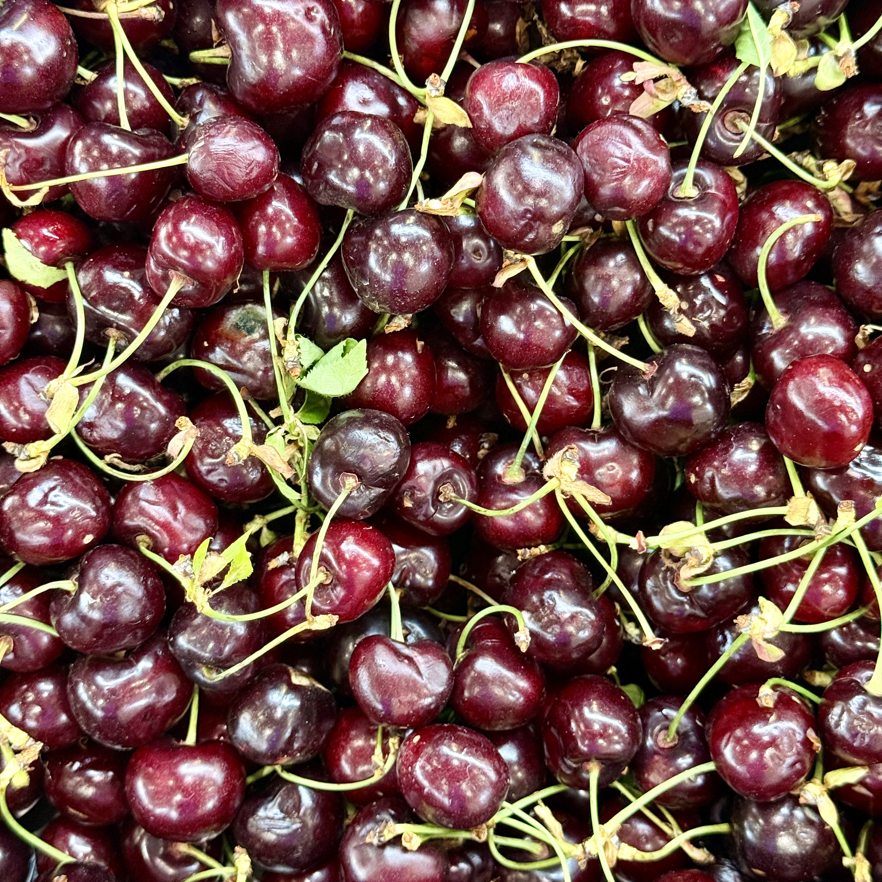 Cereja