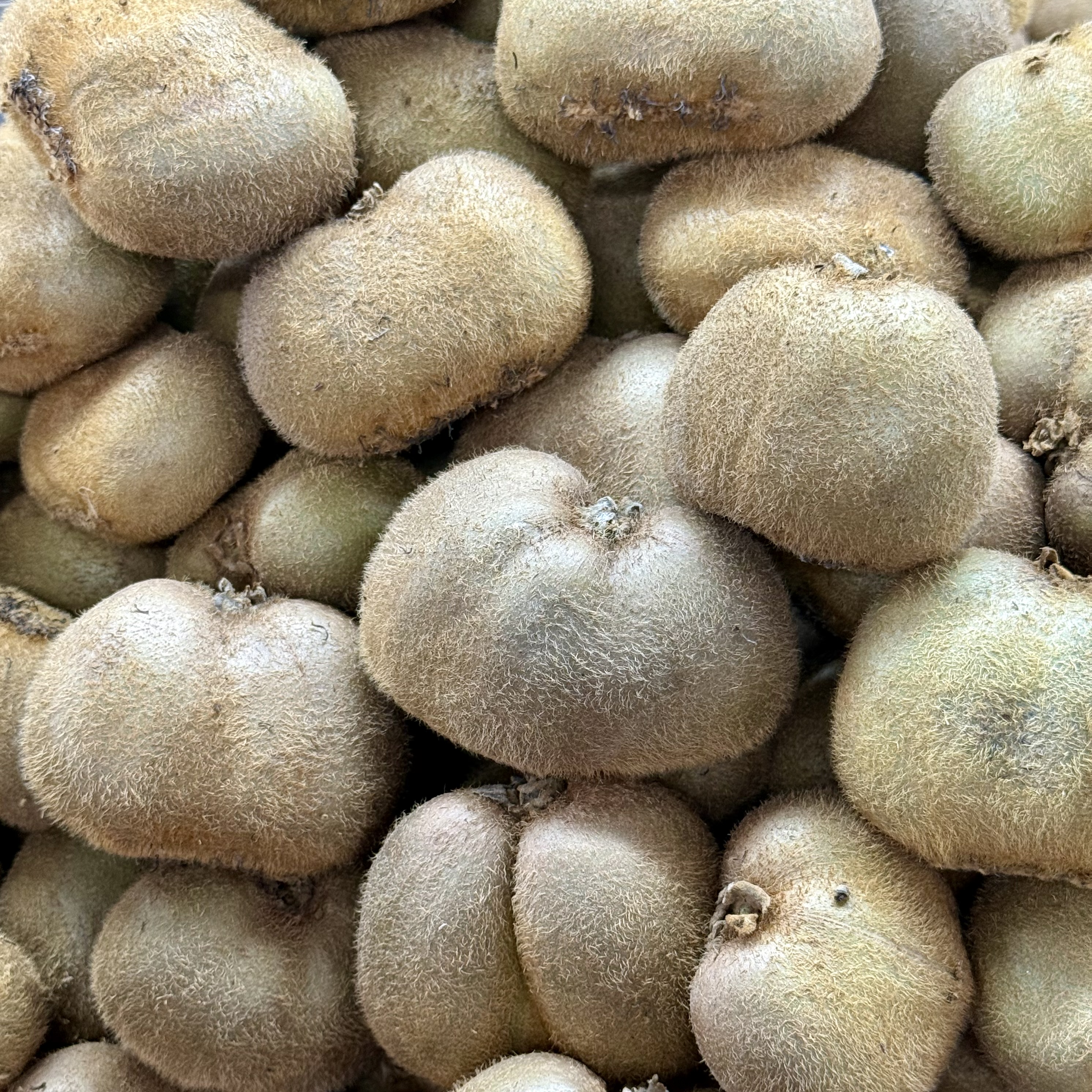 Kiwi