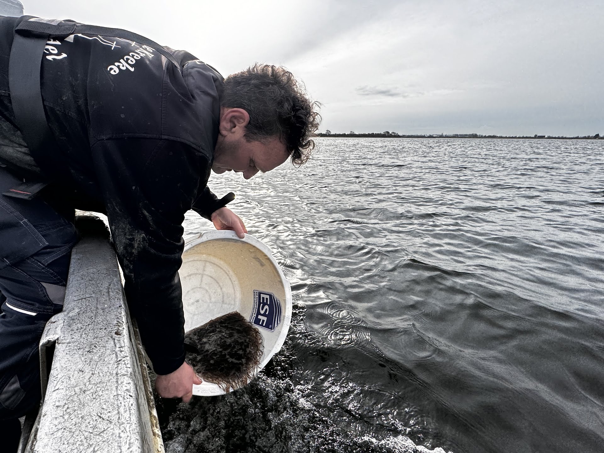 Zeeuwse beroepsvisser Marcel van de Kreeke zette vanuit Wolphaartsdijk 350.000 jonge palinkjes uit in het Veersemeer