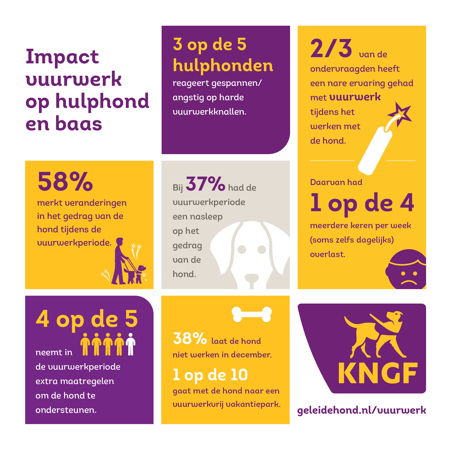 Infographic met belangrijkste onderzoeksresultaten