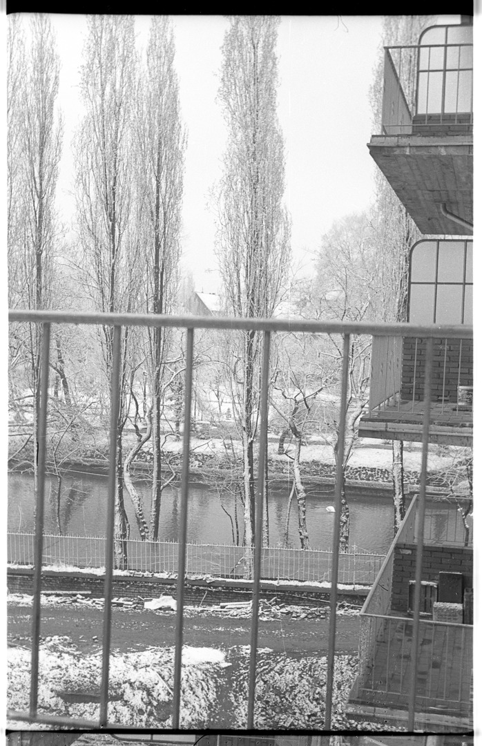 Blick vom Balkon der Wohnung Luxemburger Straße 197 zum Teich am Weißhaus-Schloss und zu Nachbarbalkonen. Köln 1955