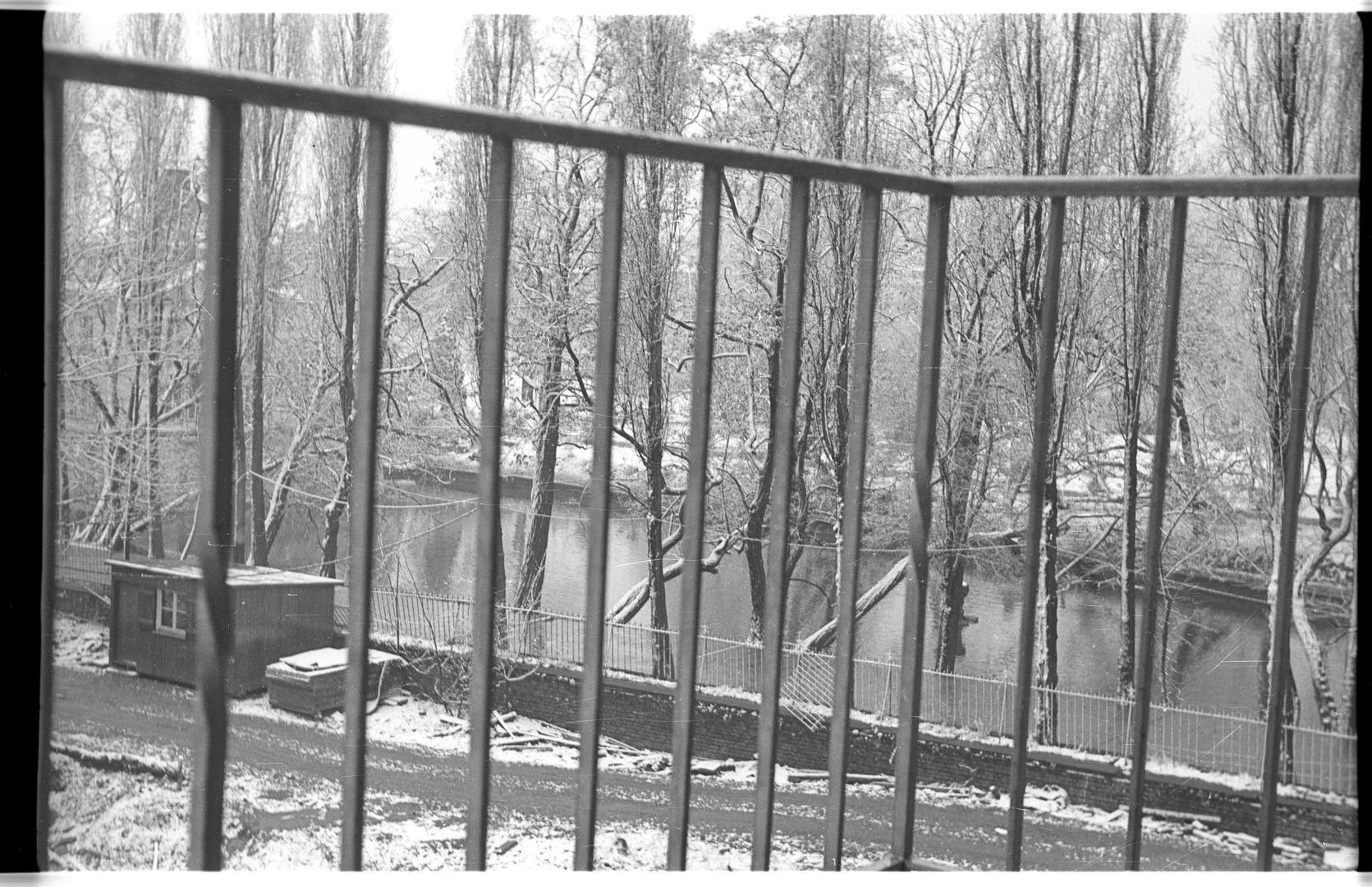 Blick zum Teich am Weißhaus-Schloss, vom Balkon der Wohnung in der Luxemburger Straße 197 aus fotografiert. Dort wohnte Zimmermann mit seiner Familie zwischen 1955 und1965. Köln 1955