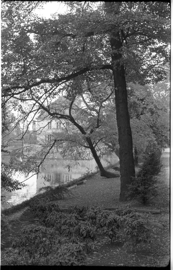 Das Weißhaus-Schloss von der Luxemburger Straße aus gesehen. Köln, Herbst 1956