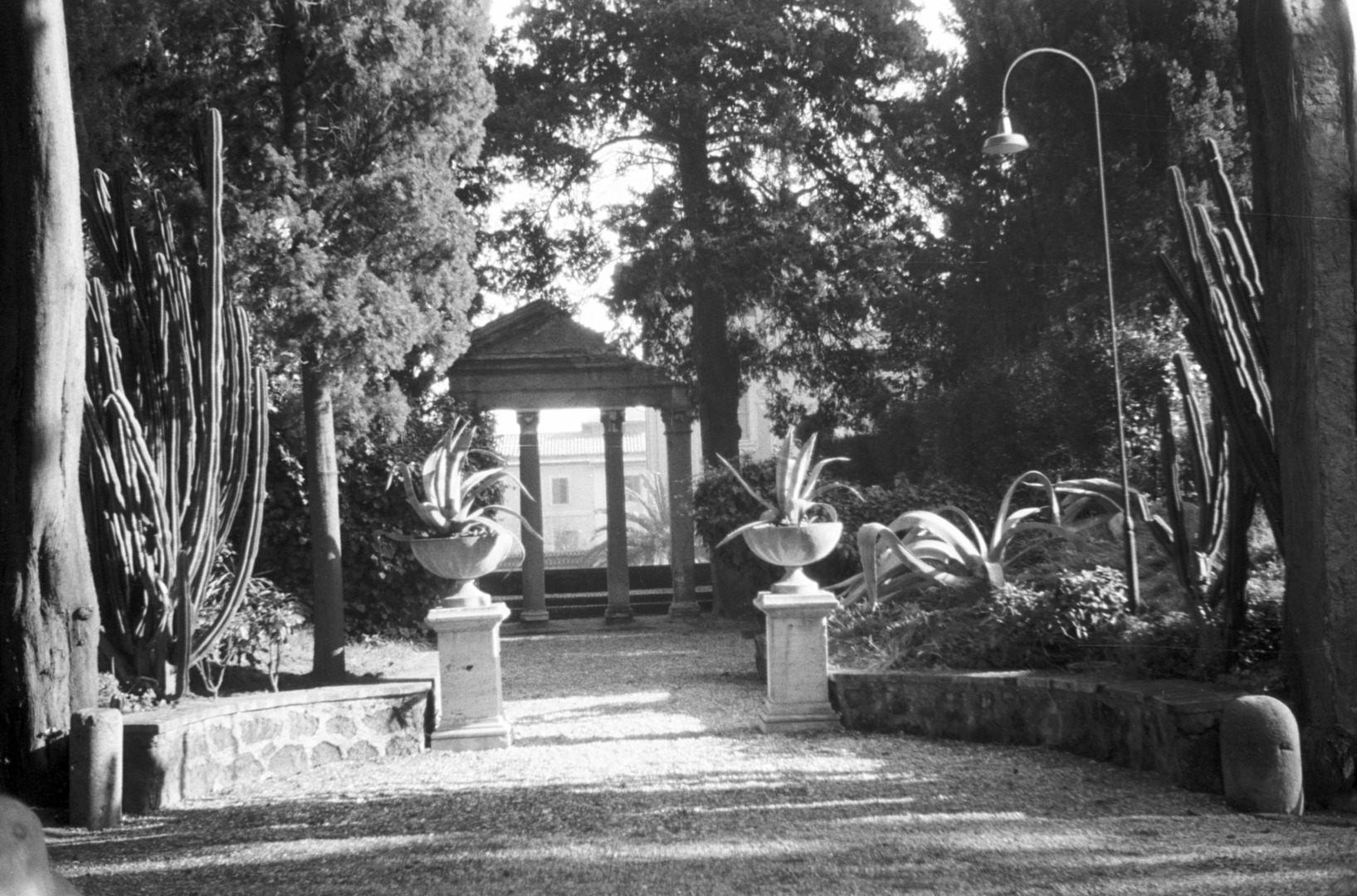 Parkidylle in der Villa Massimo mit gefälschter Tempelruine, umgeben von üppiger mediterraner Vegetation, darunter große, weißblühende Kakteen, Agaven, Pinien und Zypressen. Rom 1963/64