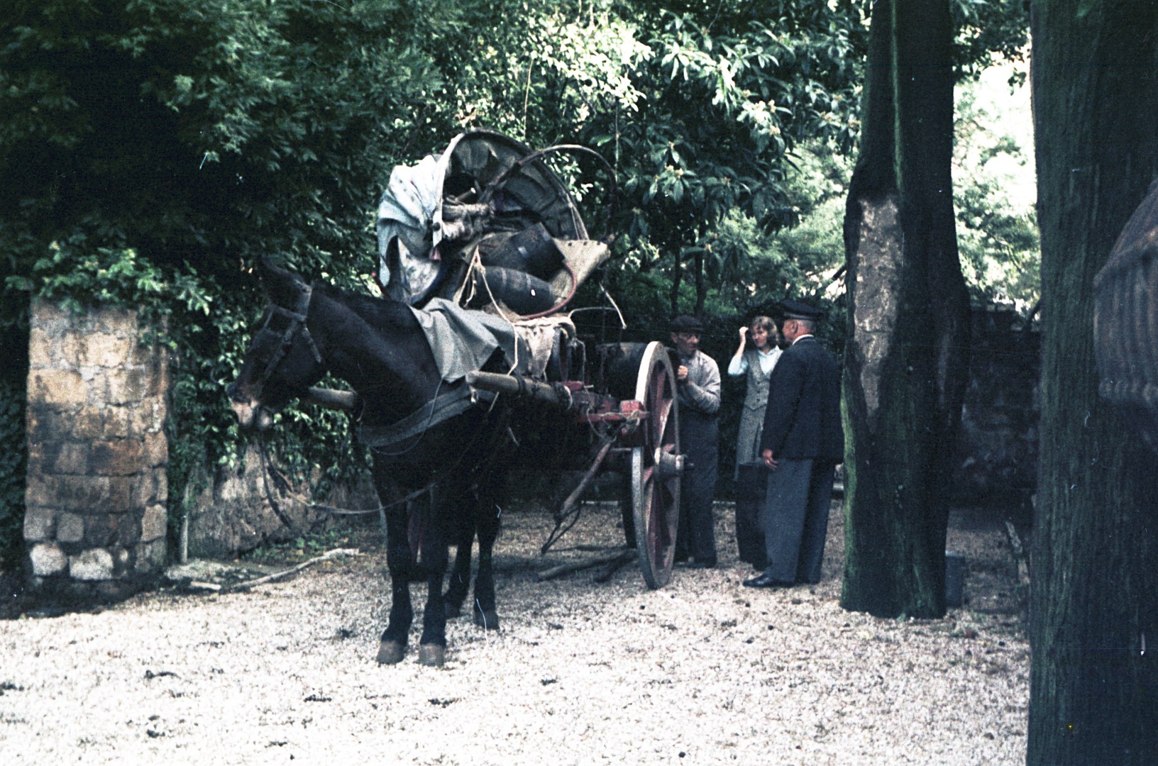 Weinanlieferung: Ein Mitarbeiter und eine Mitarbeiterin der Villa Massimo halten ein Schwätzchen mit dem Weinhändler, der gerade ein Fass vom Maultierkarren hebt. Rom 1963