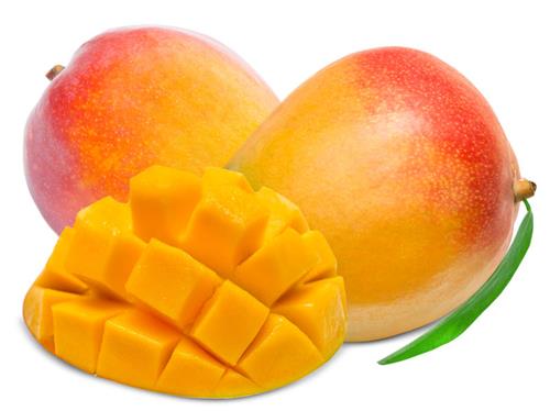 Mango for probiotic