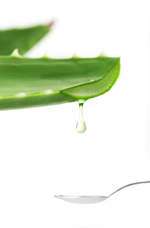 Aloe vera home remedies