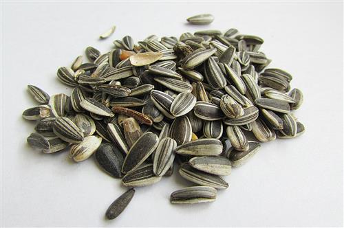 Sunflower seeds Vitamin E food recipes