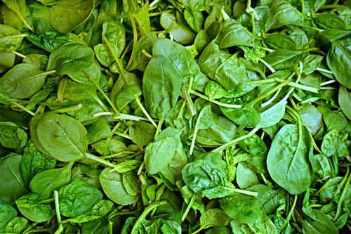 Spinach Vitamin E food recipes