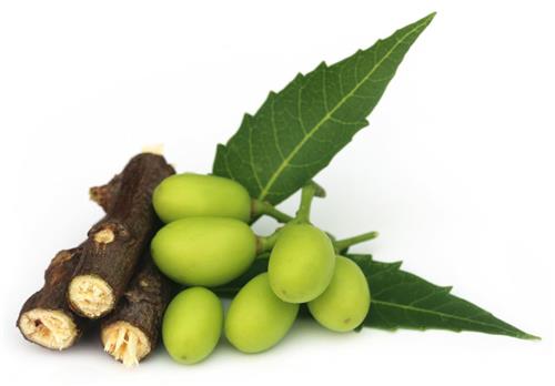 Neem for beautiful skin