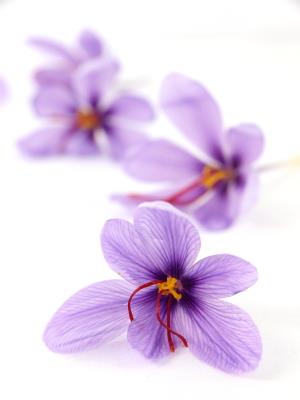 Saffron for wrinkles, dark spots, blemishes