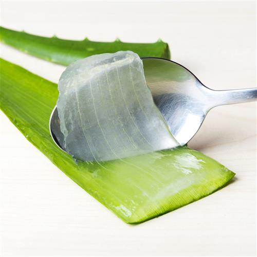 Aloe vera to even out skin