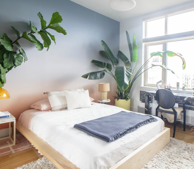 White bedding highlights tropical accents