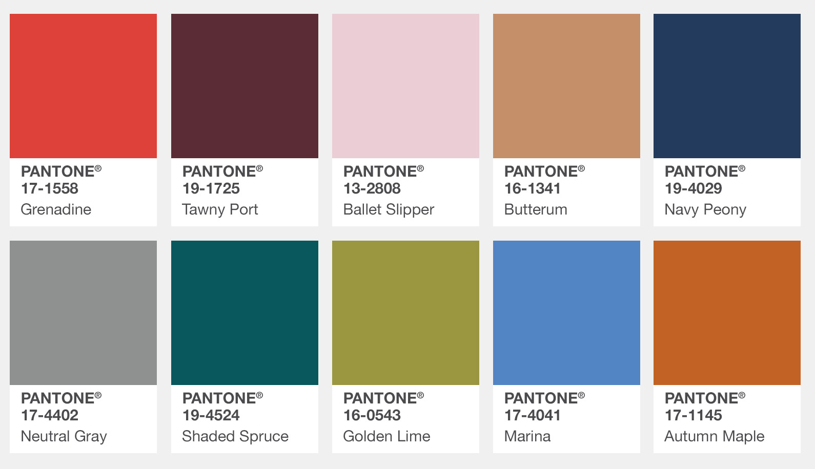 Ten different paint sample colors in two rows