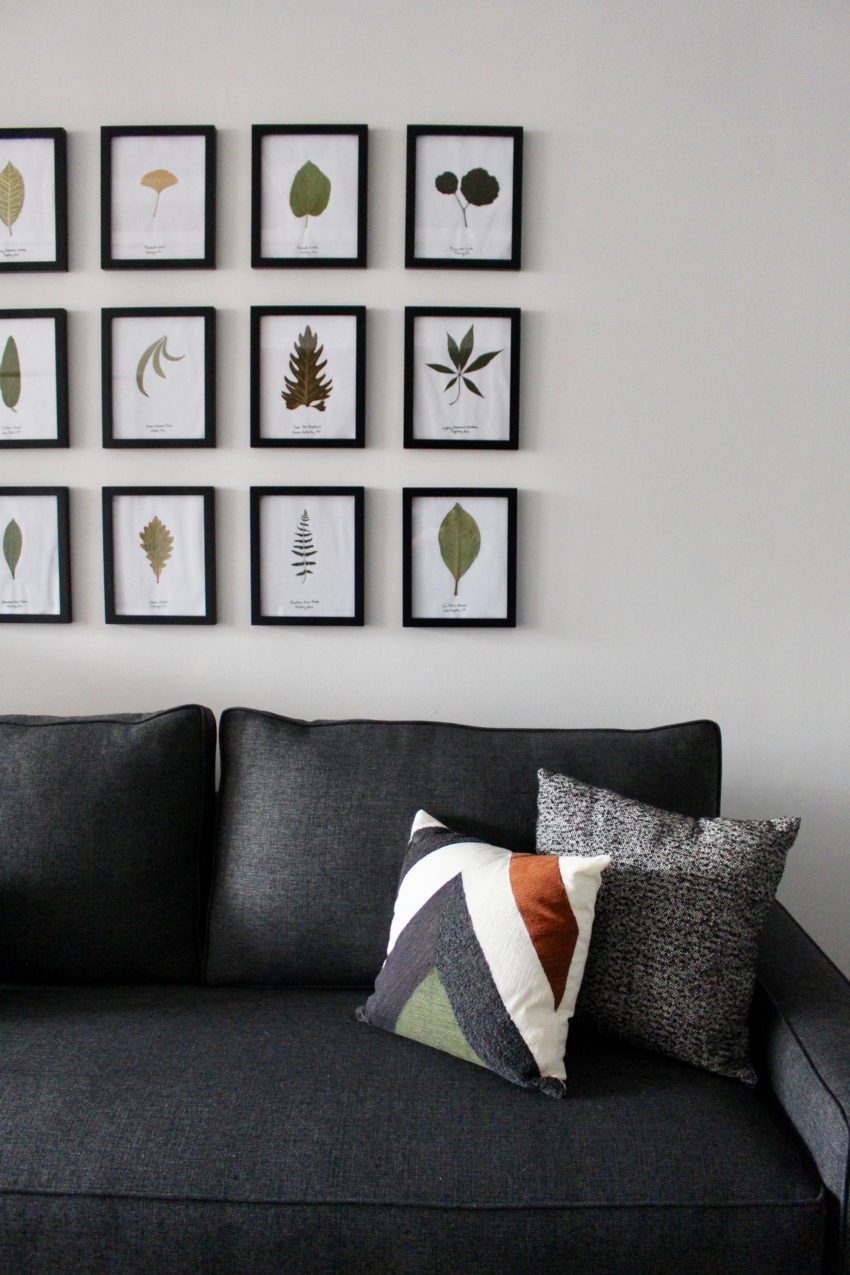 grey sofa with pictures of leaves hanging on wall
