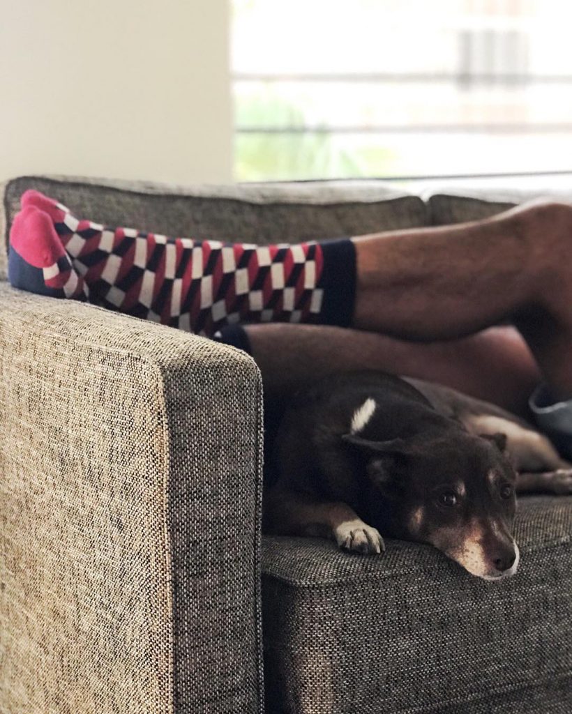 man on couch with colorful socks and a dog