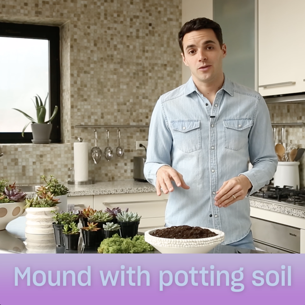 Man in a blue shirt standing in a kitchen with plants to be potted