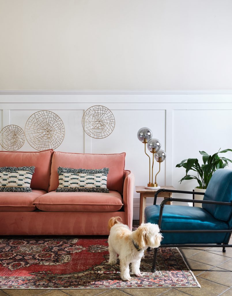 dog on a red multicolored rug with a pink sofa and blue chair