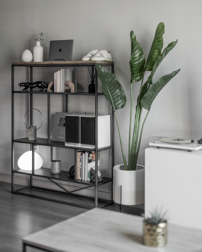 room with plant, laptop, book shelf, a record player and table with a plant