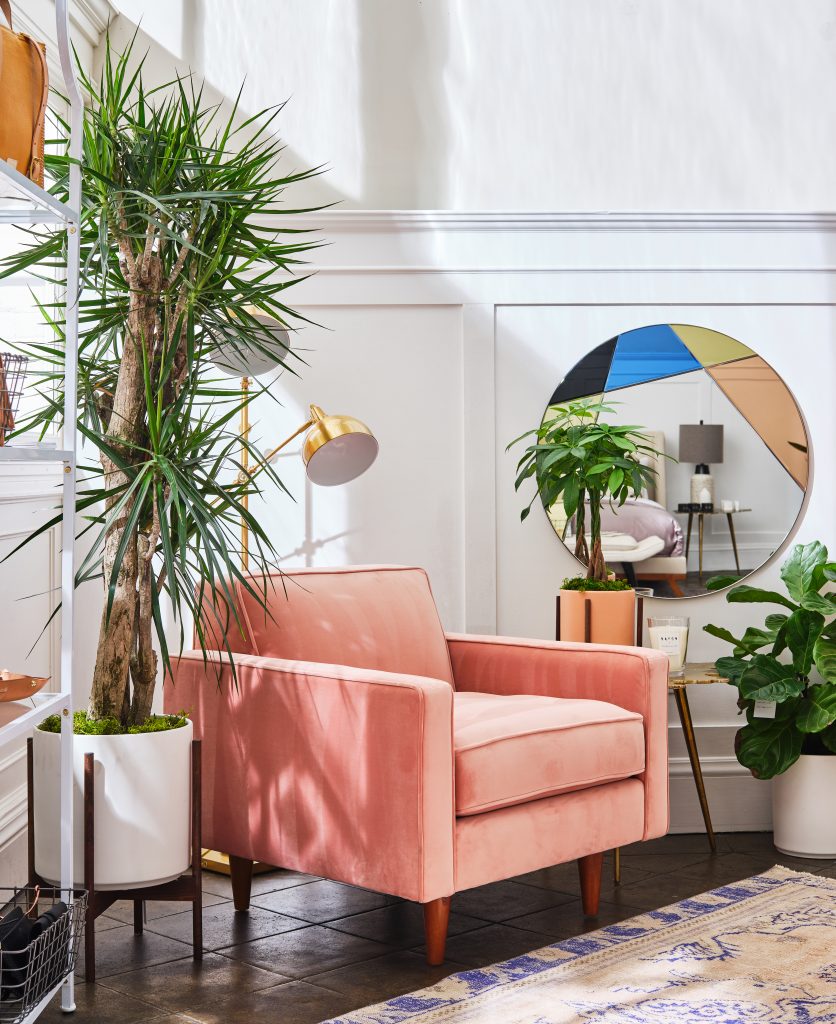 pink chair, lamp, plants, side table, mirror and purple and white rug