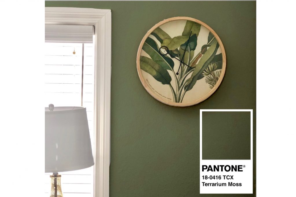 image of pantone color terrarium moss with a green wall and green clock