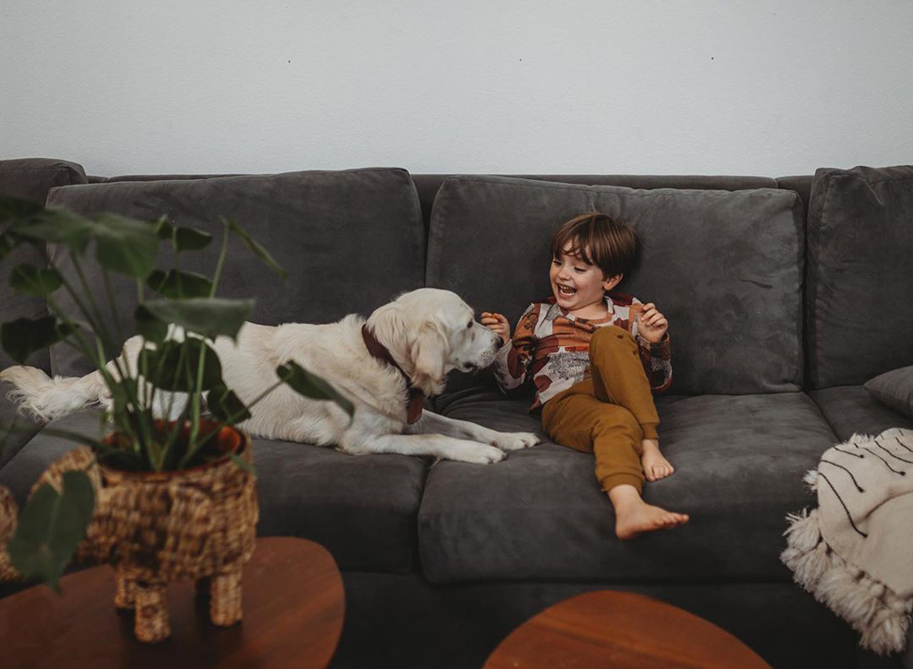 child and dog on grey sofa