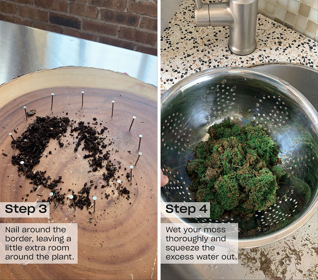 left image is wood and dirt right image is moss in a bowl