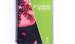 Libro de planificación de clase de octavo básico para ciencias naturales