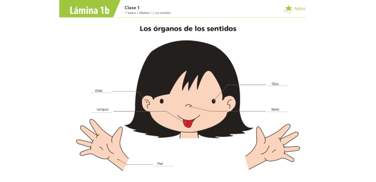 Lámina de planificación de clase dos