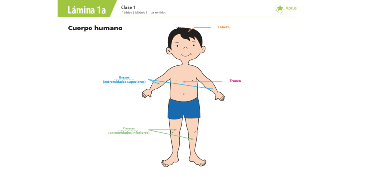 Lámina de planificación de clase uno