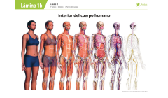 Lámina de planificación de clase ciencias naturales , dos