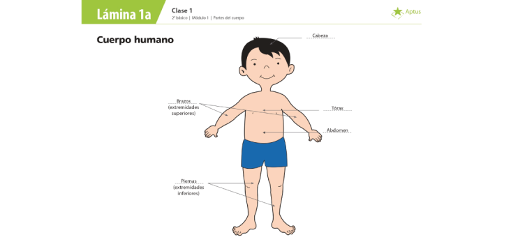 Lámina de planificación de clase ciencias naturales , uno