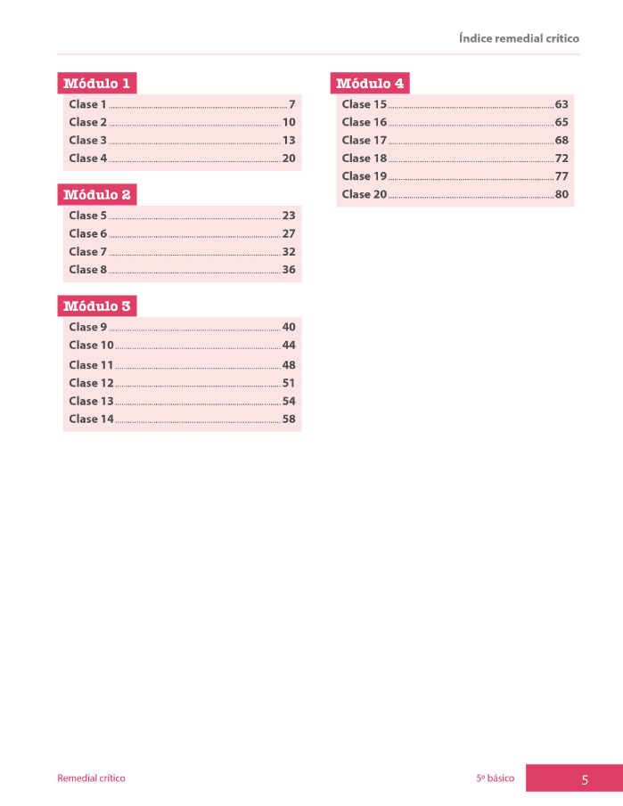 Índice planificación de clase Matemáticas, quinto básico, página quinta