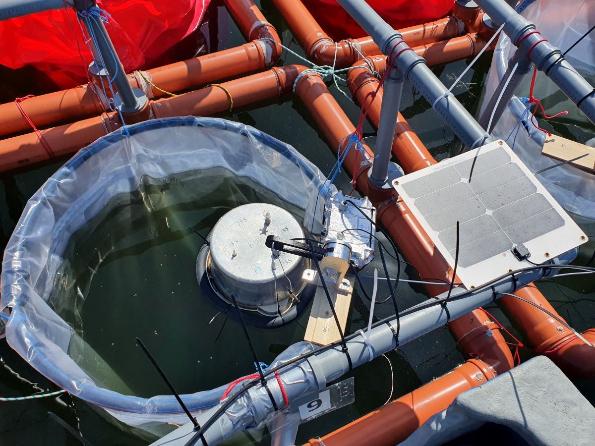 One sensor system for each mesocosm. Lifting device for swimming chamber where sensors are attached. Each system has a control device connected to a solar panel. 