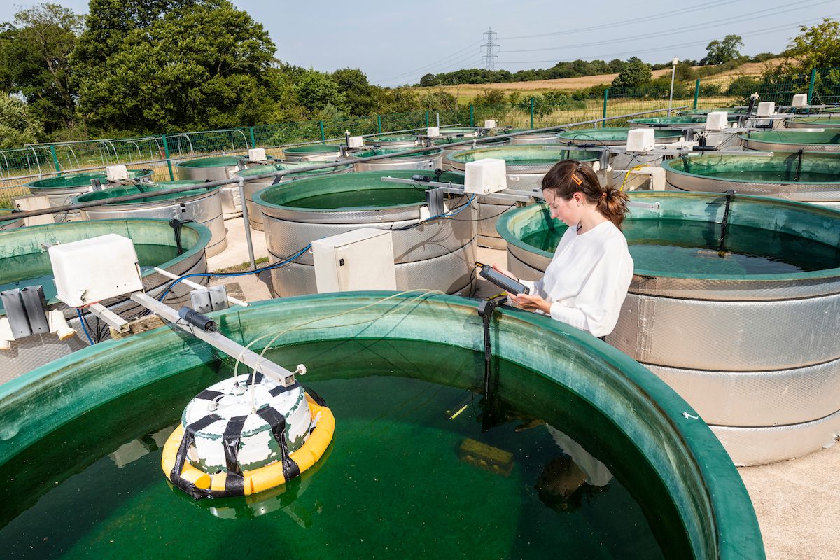 Theresa Völkl (Ludwig-Maximilians-Universität Munich, Germany) taking GHG measurements. 