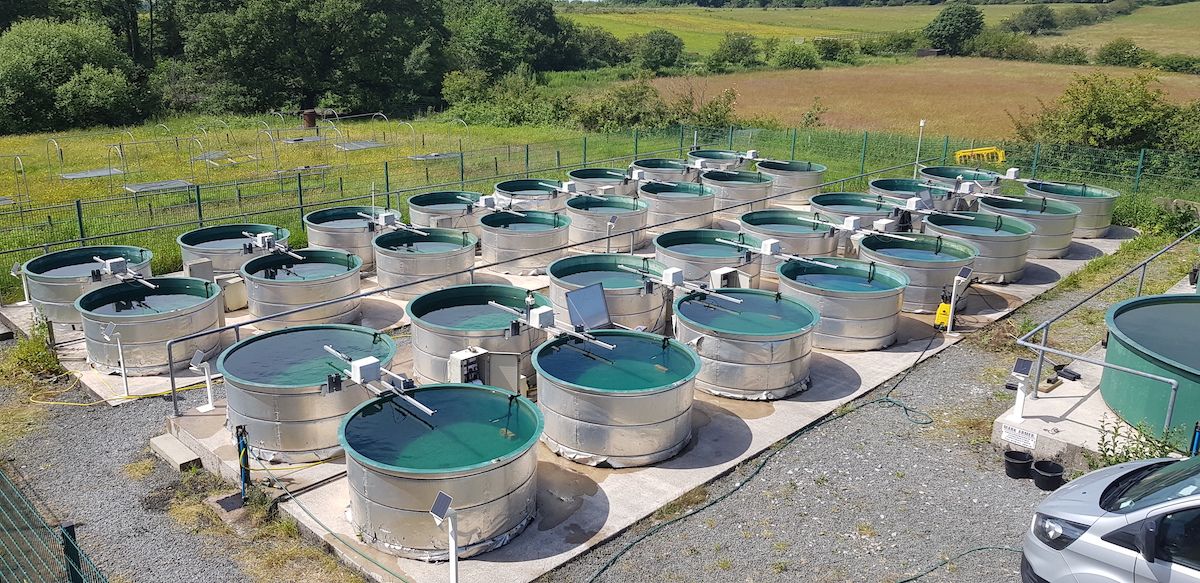 The UKCEH mesocosms facility in the UK