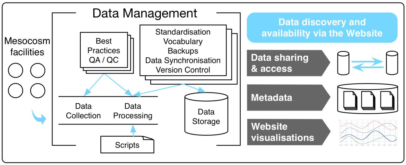 data-management.png