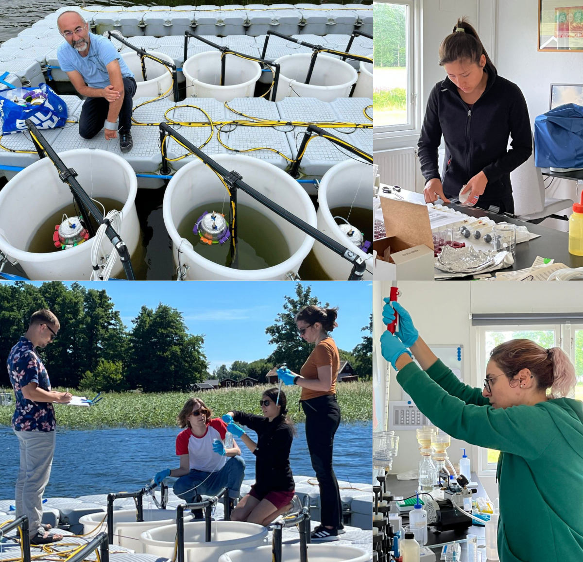 composite image of scientists working at mesocosm facility