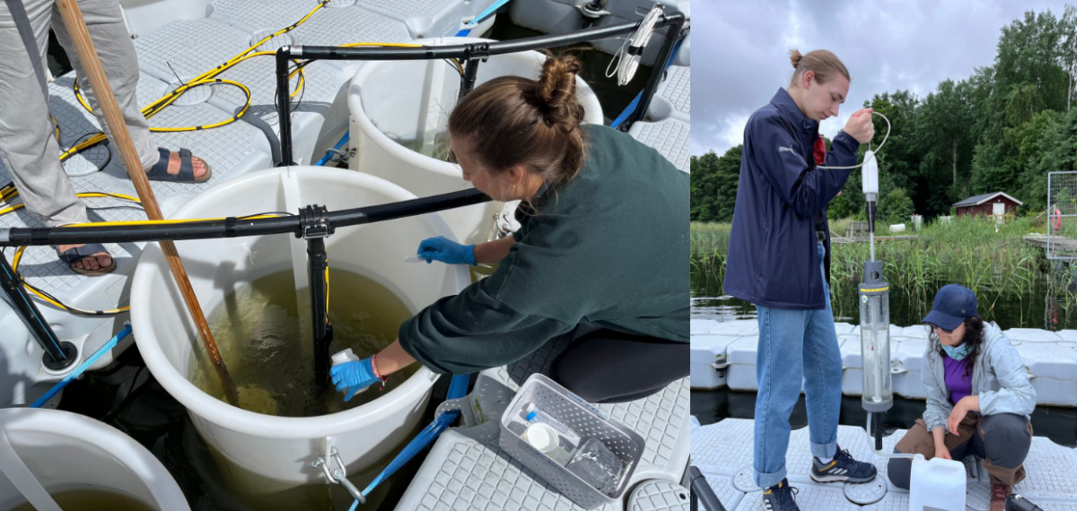 composite image of scientists working at mesocosm facility