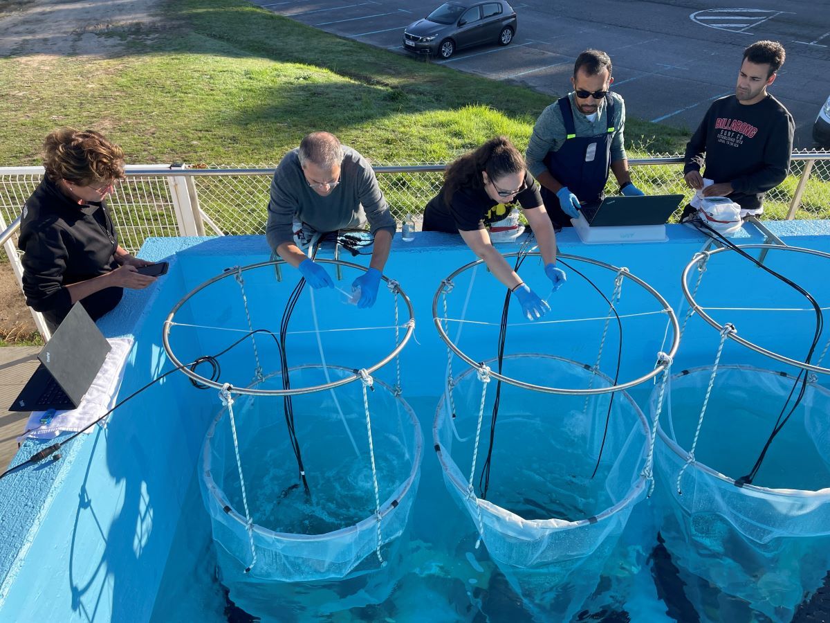 5 scientists working outdoors next to a large pool with nets