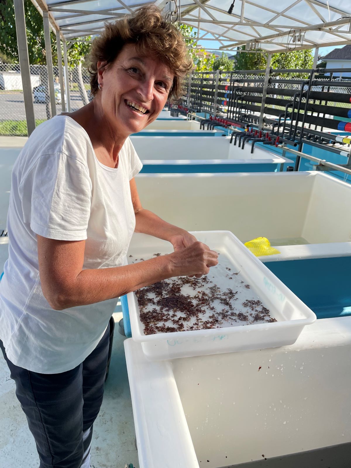 scientist smiling at the camera while sorting plankton